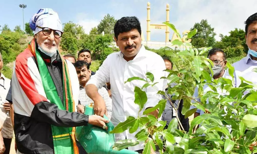 Bollywood actor Amitabh Bachchan joins green India Challenge in Hyderabad