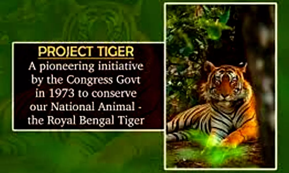 International Tiger Day 2021