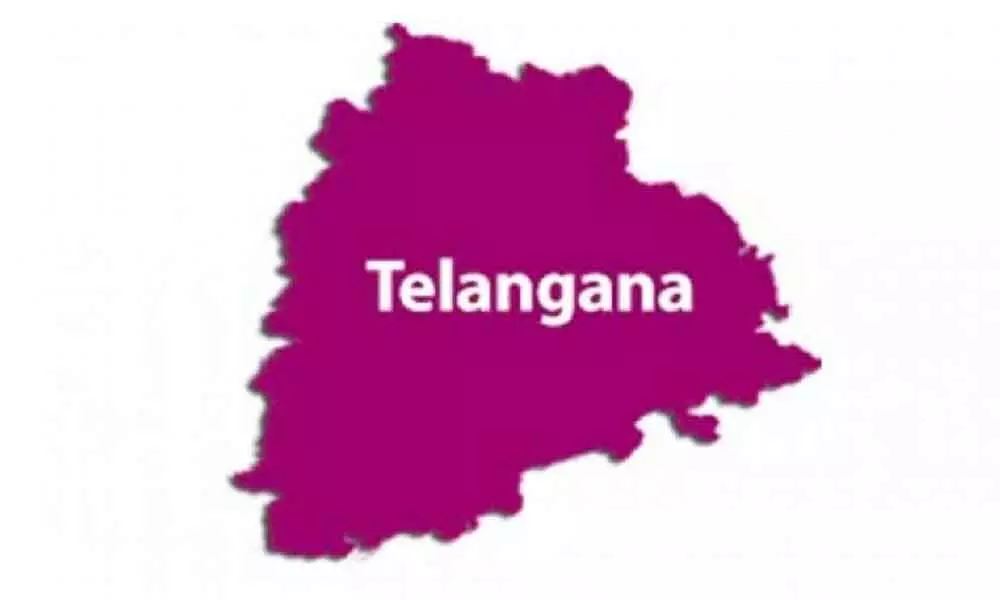 Telangana government proposes three new mandals