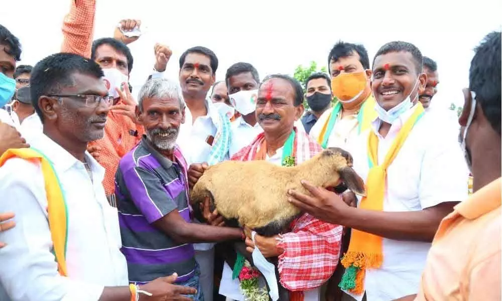 Locals present a sheep to former Minister E Rajender at Vilasagar village in Karimnagar on Thursday