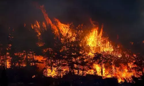 Forest Fire in Turkey killed one, trapped ten