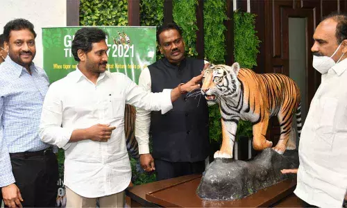 Chief Minister Y S Jagan Mohan Reddy looks at a culpture of tiger at an event marking the World Tiger Day at his camp office in Tadepalli on Thursday