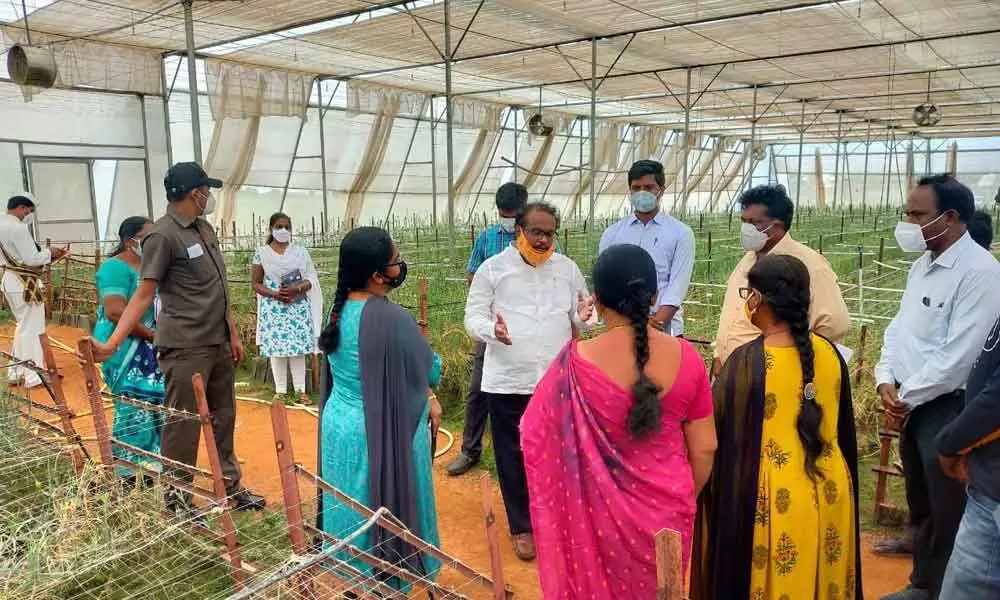 Opt for horticulture farming to reap more profits: Collector S Venkat Rao