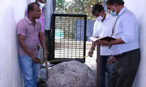 Worlds largest star sapphire cluster was discovered by coincidence in a Sri Lankan backyard