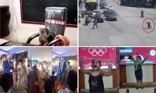 Top Trending Videos Of The Week