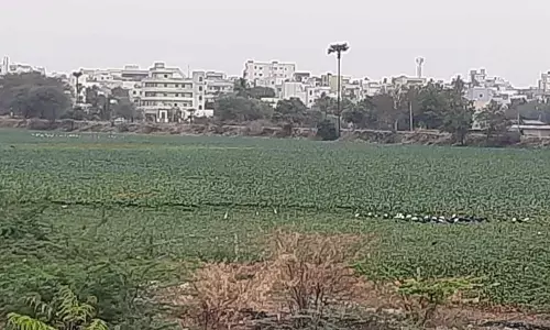 Activists flag concern over Annarayani Cheruvu