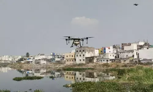 Mosquito menace stings city dwellers