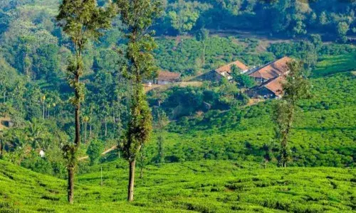 Kerala launches vax drive for tourism, hospitality staff