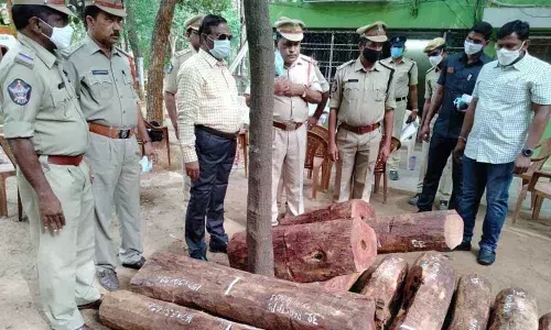 Red Sanders Anti-Smuggling Task Force SP Meda Sundara Rao examining the seized rad sanders logs in Tirupati on Saturday
