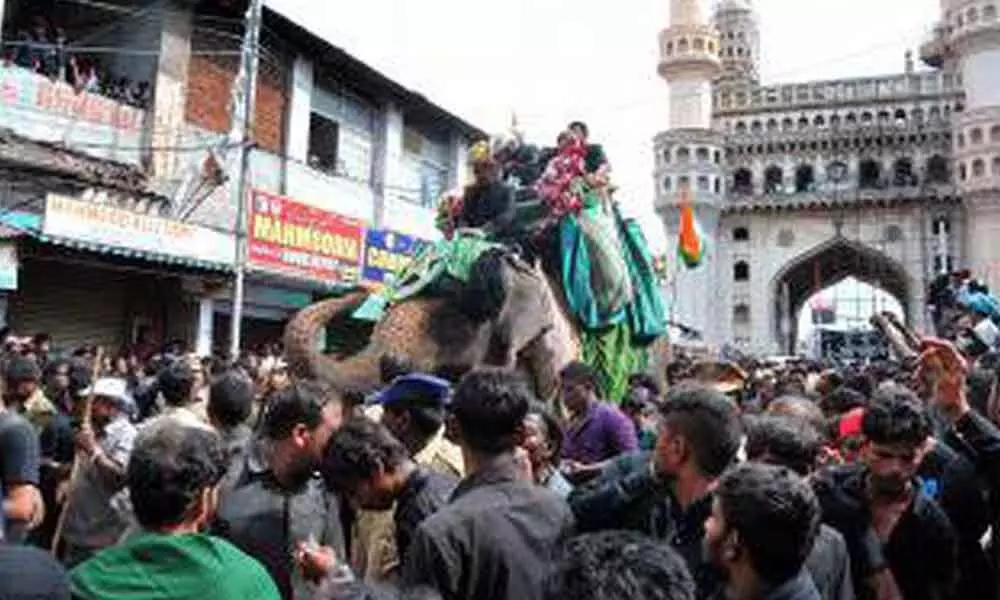 Hyderabad: Elephant from Maharashtra to carry Bibi ka Alam