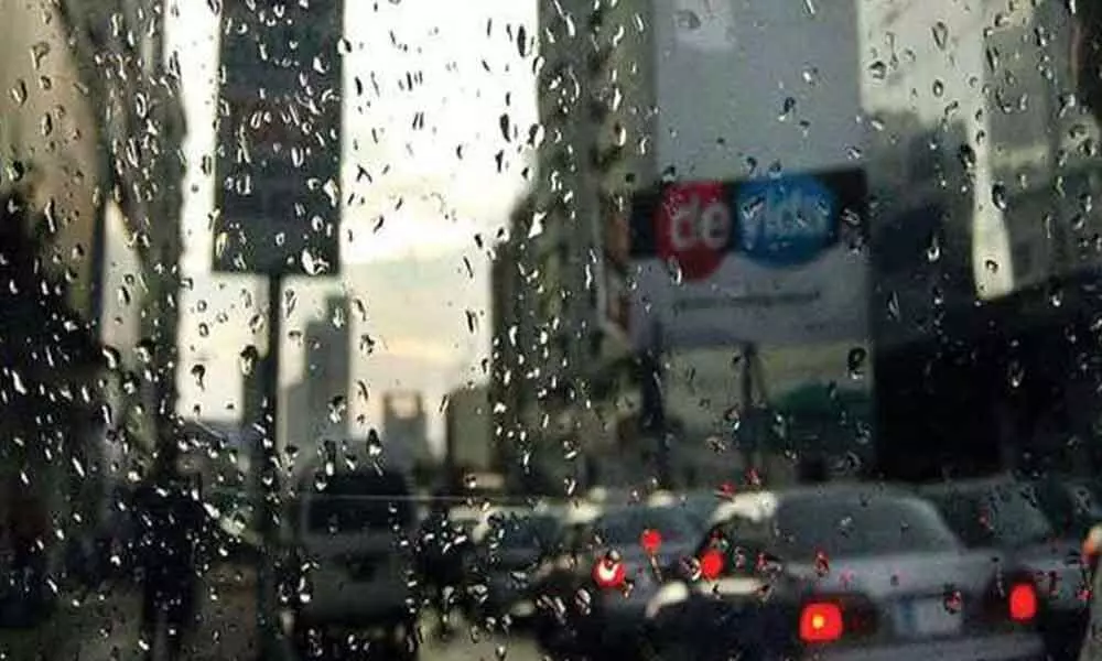 Light rain or drizzle forecast in city