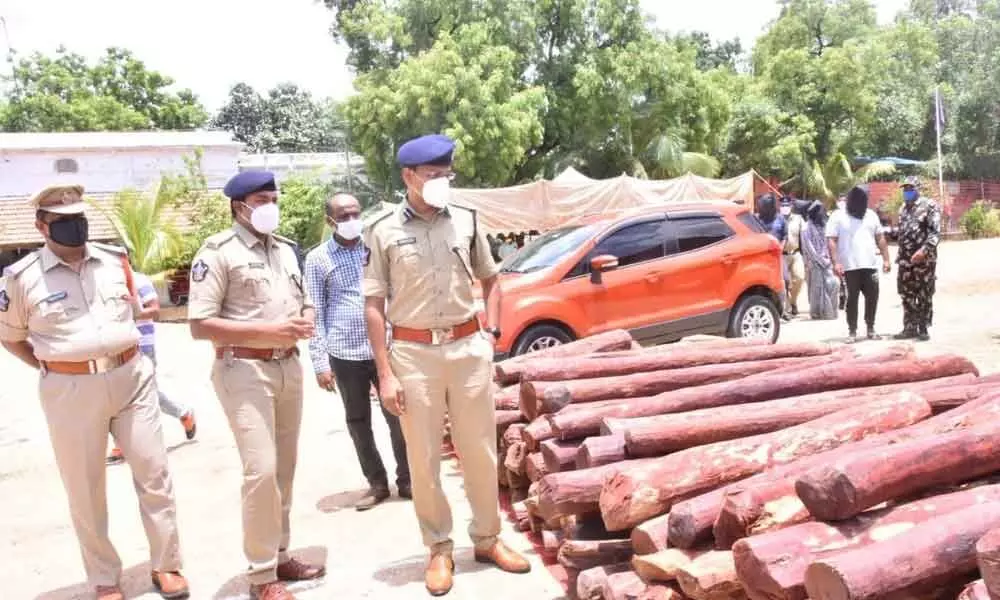 District SP S Senthil Kumar looks at the seized red sanders logs in Chittoor on Monday