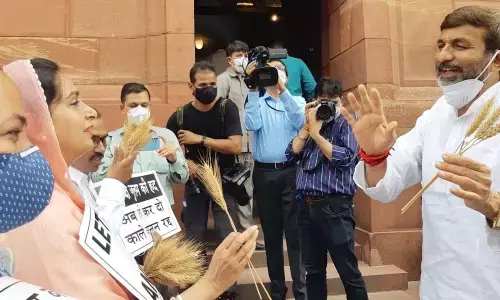 Shiromani Akali Dal (SAD)-Bahujan Samaj Party (BSP) MPs on Monday handed over wheat stalks to parliamentarians