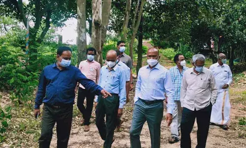 TTD CVSO Gopinath Jatti inspecting ongoing greenery works in Tirumala and Alipiri footpath on Monday.