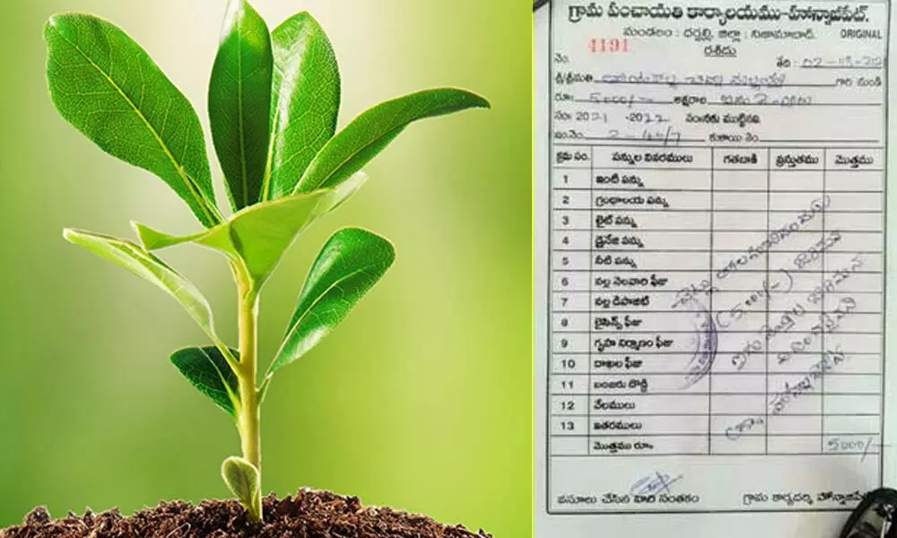 Man fined of Rs 5,000 for plucking Haritha Haram plants in Nizamabad