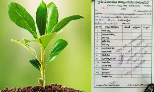 Man fined of Rs 5,000 for plucking Haritha Haram plants in Nizamabad