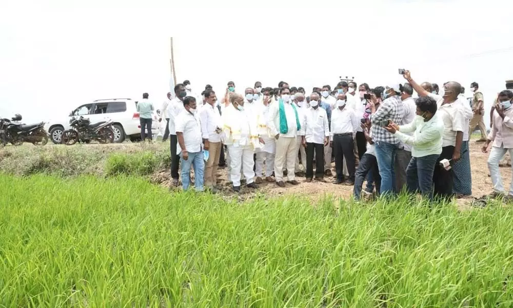 Minister Errabelli Dayakar Rao, along with farmers of Warangal observing the new cultivation methods in Sathupalli in Sathupalli on Thursday