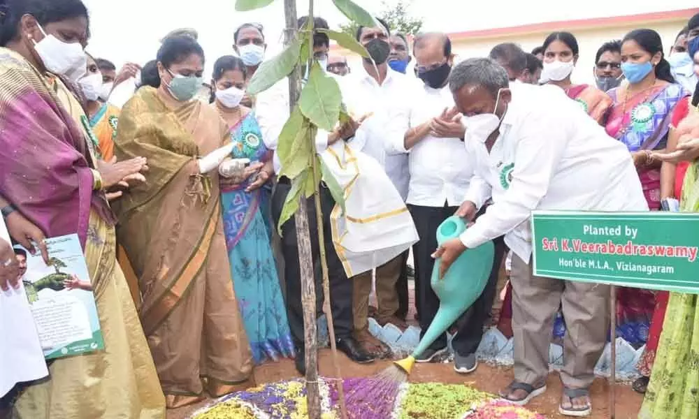 District Collector A Surya Kumari and MLA K Veerabhadra Swamy participating in plantation drive on Thursday