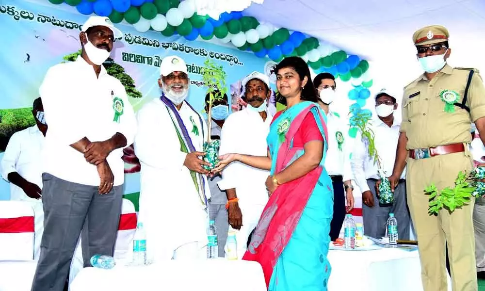 Officials distributing saplings to people at a programme in Kurnool
