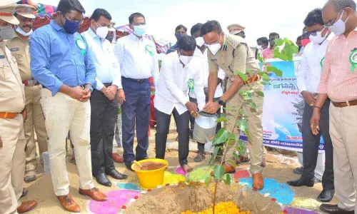 Puthalapattu MLA M S Babu planting a sapling to mark the 72nd Vana Mahotsavam festival held at Irala mandal in Chittoor on Thursday. SP Senthil Kumar is also seen.