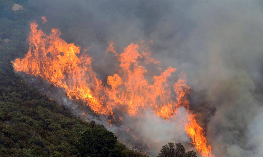 Massive Wildfire Forces Closure Of California National Park