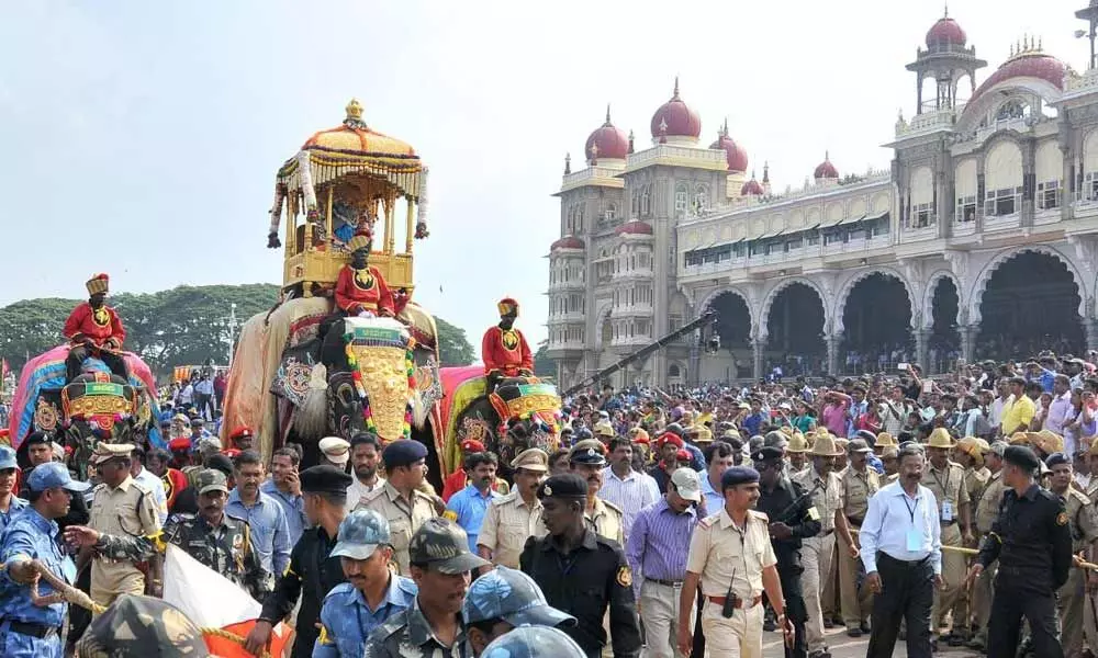 Forest department wants to know number of elephants needed for Mysuru Dasara fete