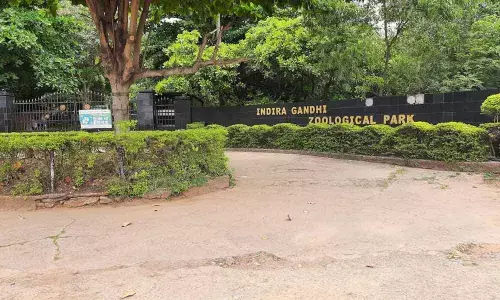 Indira Gandhi Zoological Park