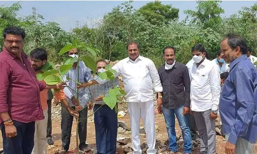 MLA Arekapudi Gandhi participates in plantation drive