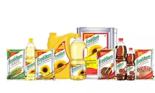 Gemini Edibles files for Rs 2,500-cr IPO