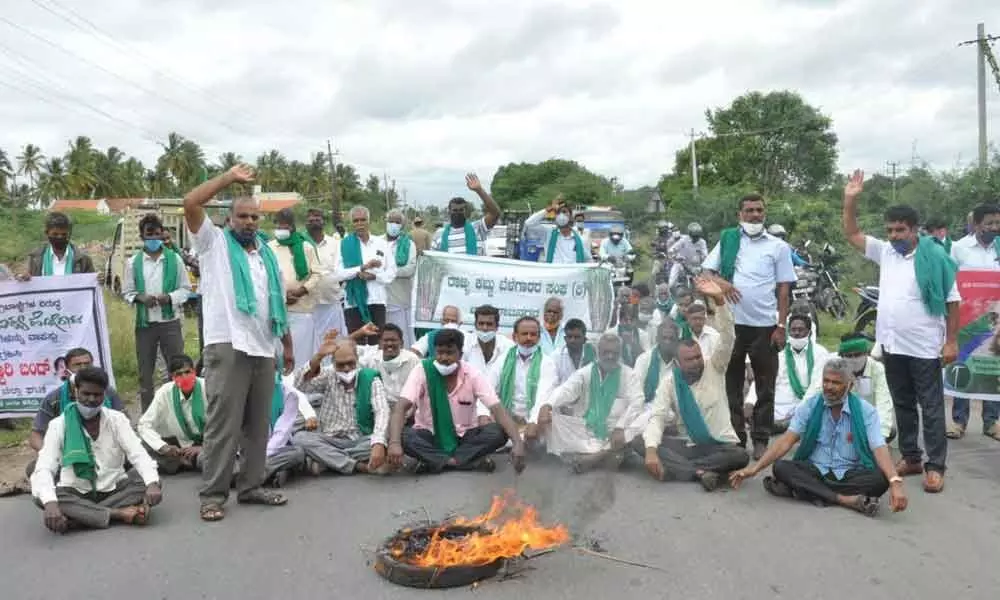 Farmers protest power sector privatisation proposal