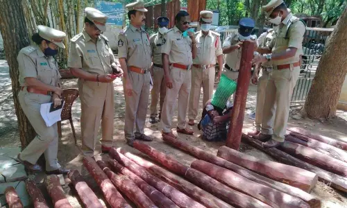 Red sanders logs seized by police in Kambamvaripalli mandal in Chittoor district on Tuesday