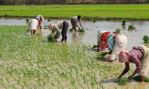 Representational image