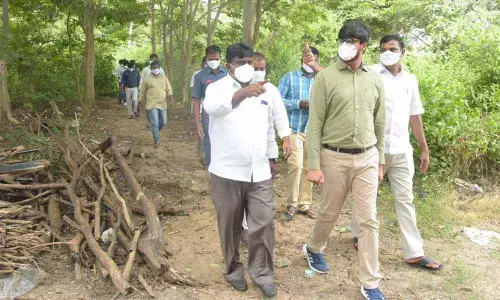 District Collector VP Gowtham observing Pattana Pragathi development works in Wyra on Thursday