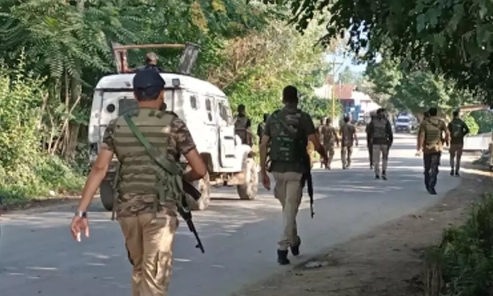 Terrorist killed in Kashmir gunfight