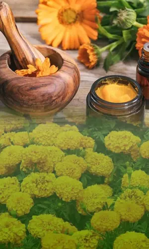 Marigold DIY Beauty Remedies