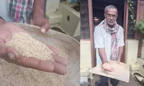 White ragi developed by UAS scientist helps farmers reap profits