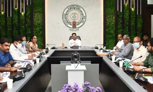Chief Minister YS Jagan Mohan Reddy reviews horticulture at his camp office in Tadepalli on Friday