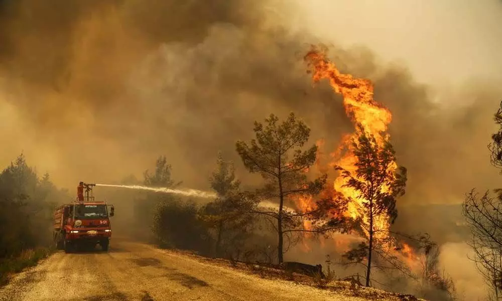 A heatwave across Southern Europe, triggering raging wildfires in several countries.