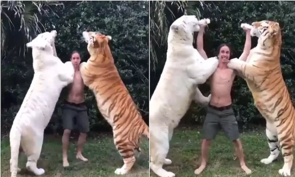 Viral Video Of A Man Feeding Milk By Himself