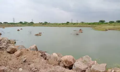 Land sharks set eyes on Pochamma Kunta