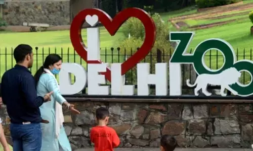 Delhi Zoo