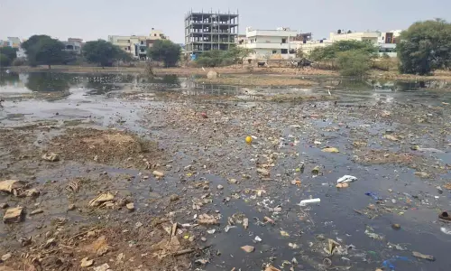 Macha Bolarum Lake gasping for breath