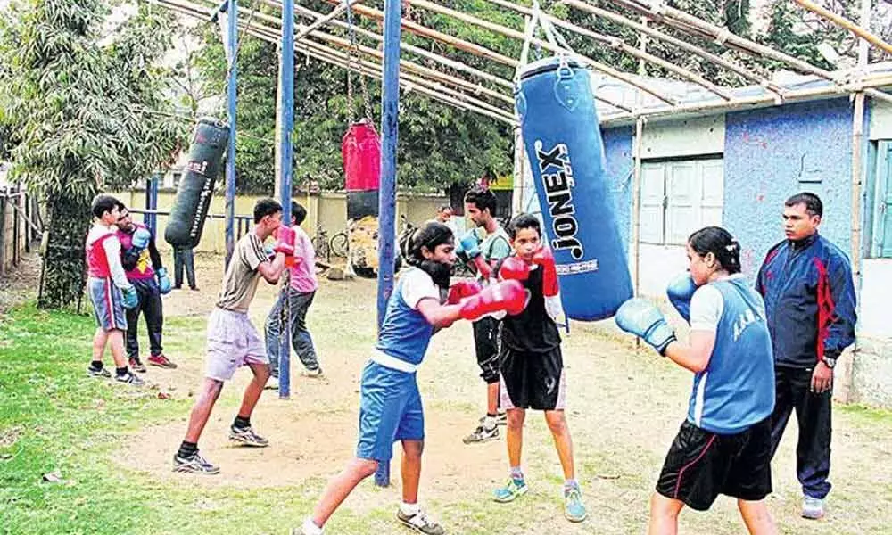 Sports Authority of India invites applications for training programmes in boxing, volleyball at Visakhapatnam