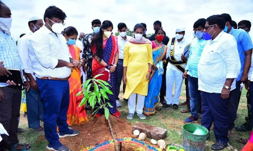 Collector Nagalakshmi Selvarajan planting a sapling in Kambadurmandal in Anantapur district on Wednesday