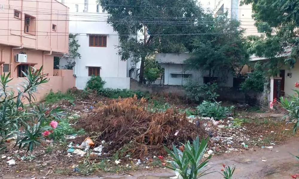 The area that was looking like a dumping yard in Venkata Ramana Colony