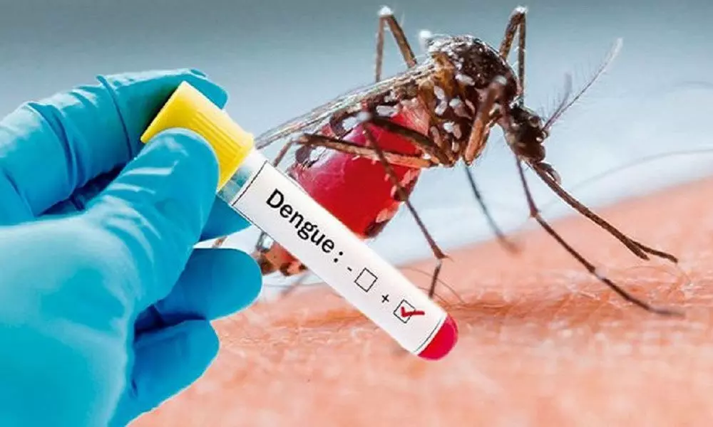 Telangana sees sharp spike in dengue cases