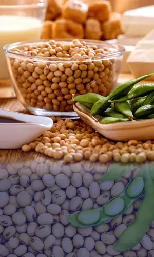 8 Ways to Get More Soy in your Diet