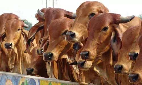 Representational Image