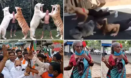 Top Trending Videos Of The Week