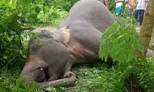 For representational purpose